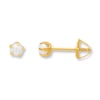Thumbnail Image 1 of Cultured Pearl Earrings 14K Yellow Gold