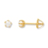 Thumbnail Image 0 of Cultured Pearl Earrings 14K Yellow Gold