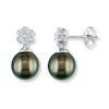 Thumbnail Image 0 of Tahitian Cultured Pearl Earrings 1/20 ct tw Diamonds Sterling Silver