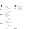 Thumbnail Image 2 of Morganite Stud Earrings 10K Rose Gold
