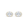 &nbsp;