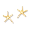 Thumbnail Image 0 of Starfish Earrings 14K Yellow Gold
