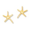Thumbnail Image 1 of Starfish Earrings 14K Yellow Gold