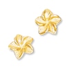 Thumbnail Image 1 of Flower Earrings 14K Yellow Gold