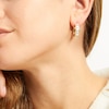 Thumbnail Image 1 of Italian Glitter Hoop Earrings 14K Yellow Gold