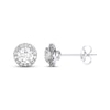 Thumbnail Image 3 of THE LEO Diamond Halo Stud Earrings 7/8 ct tw 14K White Gold