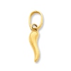 Thumbnail Image 0 of Italian Horn Charm 14K Yellow Gold