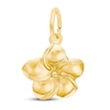 Thumbnail Image 1 of Plumeria Flower Charm 14K Yellow Gold