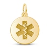Thumbnail Image 0 of Medical Symbol Charm 14K Yellow Gold