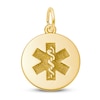 Thumbnail Image 1 of Medical Symbol Charm 14K Yellow Gold