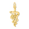 Thumbnail Image 1 of Veterinarian Symbol Charm 14K Yellow Gold