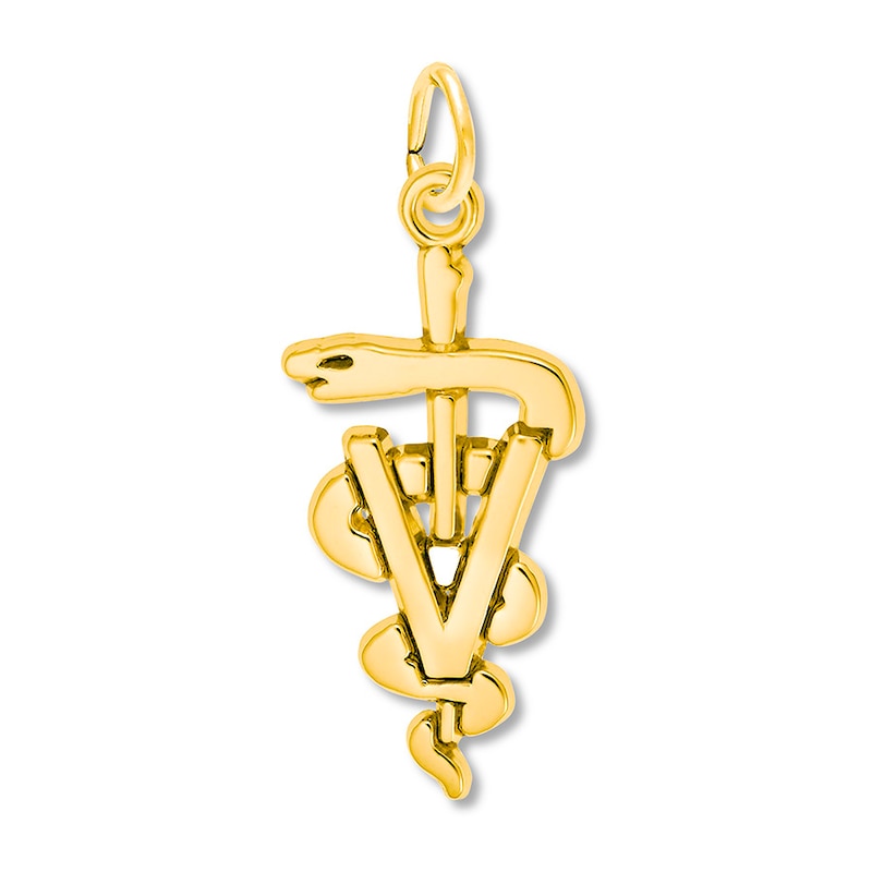 Main Image 1 of Veterinarian Symbol Charm 14K Yellow Gold