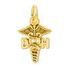 Thumbnail Image 1 of Dental Hygienist Charm 14K Yellow Gold