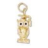 Thumbnail Image 0 of Graduation Owl Charm 14K Yellow Gold