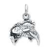 Thumbnail Image 0 of Pisces Charm Sterling Silver