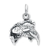 Thumbnail Image 1 of Pisces Charm Sterling Silver