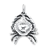Thumbnail Image 0 of Cancer Charm Sterling Silver