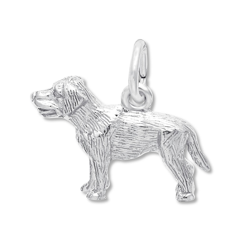 Dog Charm Bracelet Lab/Retriever Womens Gift 