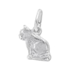 Thumbnail Image 0 of Cat Charm Sterling Silver