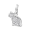 Thumbnail Image 1 of Cat Charm Sterling Silver