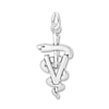 Thumbnail Image 0 of Veterinarian Charm Sterling Silver