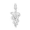 Thumbnail Image 1 of Veterinarian Charm Sterling Silver
