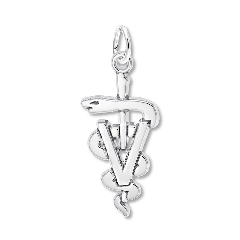 Main Image 1 of Veterinarian Charm Sterling Silver