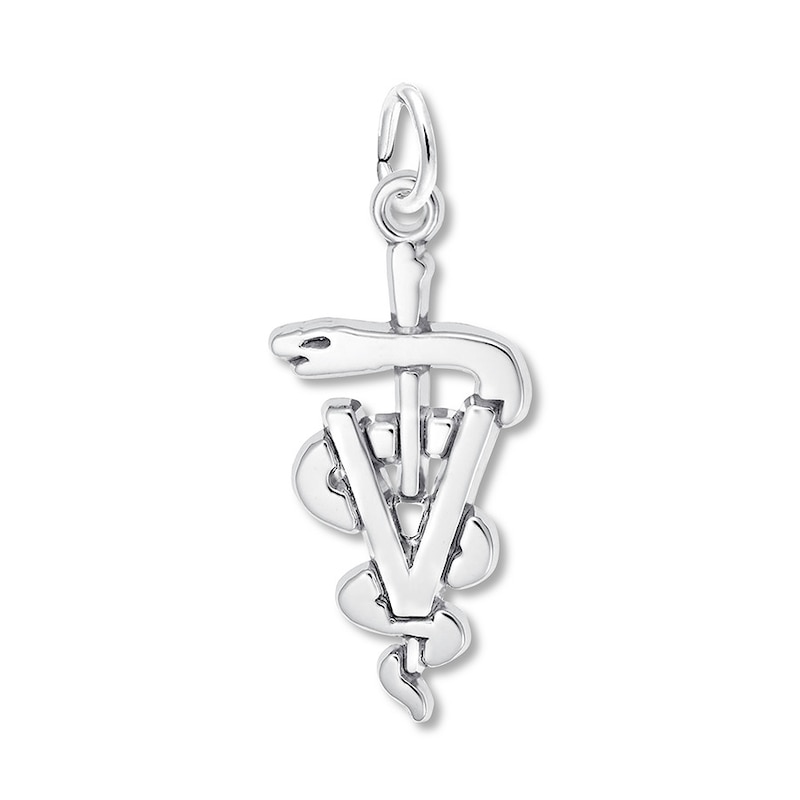 Veterinarian Charm Sterling Silver