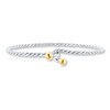 Thumbnail Image 1 of Bangle Bracelet Sterling Silver & 14K Yellow Gold