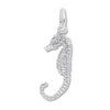 Thumbnail Image 1 of Seahorse Charm Sterling Silver