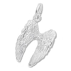 Thumbnail Image 1 of Angel Wings Charm Sterling Silver