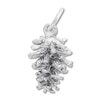 Thumbnail Image 0 of Pinecone Charm Sterling Silver