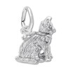 Thumbnail Image 1 of Cat Charm Sterling Silver