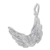 Thumbnail Image 1 of Wings Charm Sterling Silver