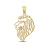 Thumbnail Image 0 of Men's Diamond-cut Lion Head Charm 10K Yellow Gold