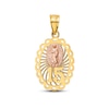 Thumbnail Image 1 of Our Lady of Guadalupe 15 Charm 14K Two-Tone Gold