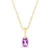 Thumbnail Image 1 of Amethyst Birthstone Necklace 10K Yellow Gold 18&quot;