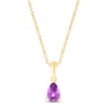 Thumbnail Image 0 of Amethyst Birthstone Necklace 10K Yellow Gold 18"