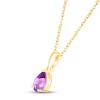 Thumbnail Image 1 of Amethyst Birthstone Necklace 10K Yellow Gold 18"