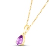 Thumbnail Image 2 of Amethyst Birthstone Necklace 10K Yellow Gold 18&quot;