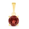 Thumbnail Image 1 of Garnet Birthstone Pendant 10K Yellow Gold