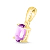 Thumbnail Image 1 of Amethyst Birthstone Pendant 10K Yellow Gold