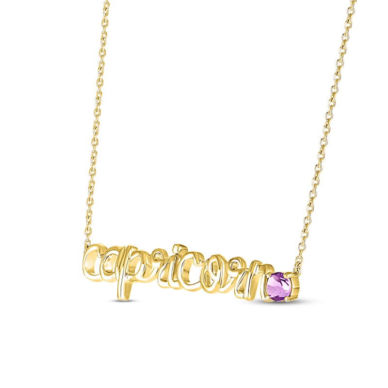 Main Image 2 of Amethyst Zodiac Capricorn Necklace 10K Yellow Gold 18&quot;