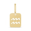 Thumbnail Image 1 of Charmed Memories Zodiac Aquarius Cutout Charm 10K Yellow Gold
