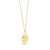 Thumbnail Image 2 of Paw Print Disc Necklace 14K Yellow Gold 18"