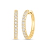 Thumbnail Image 1 of KAY Signature Collection Lab-Grown Diamond Hoop Earrings 1/2 ct tw 10K Yellow Gold