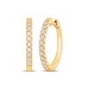 Thumbnail Image 1 of KAY Signature Collection Lab-Grown Diamond Hoop Earrings 1/4 ct tw 10K Yellow Gold