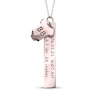 Thumbnail Image 1 of Onesie & Tag Birth Stats Necklace 10K Rose Gold 18"