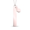 Thumbnail Image 2 of Onesie & Tag Birth Stats Necklace 10K Rose Gold 18"
