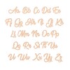 Thumbnail Image 3 of Cursive Script Name Necklace 14K Rose Gold 18"
